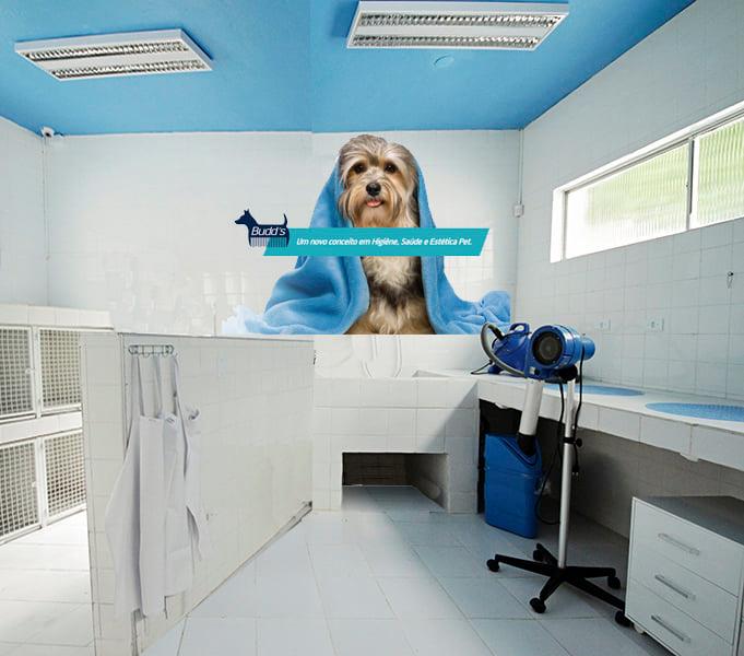 Banho e Tosa